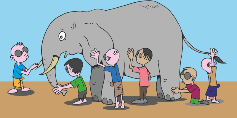 Addressing Bias: A Tale of Two Elephants